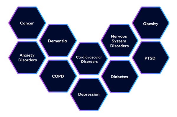 Top Diseases, Disorders and Conditions